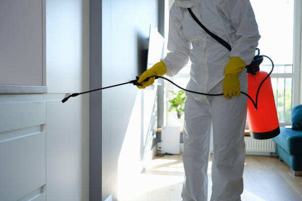 Best Mold Testing and Inspection Services in Mount Healthy, OH